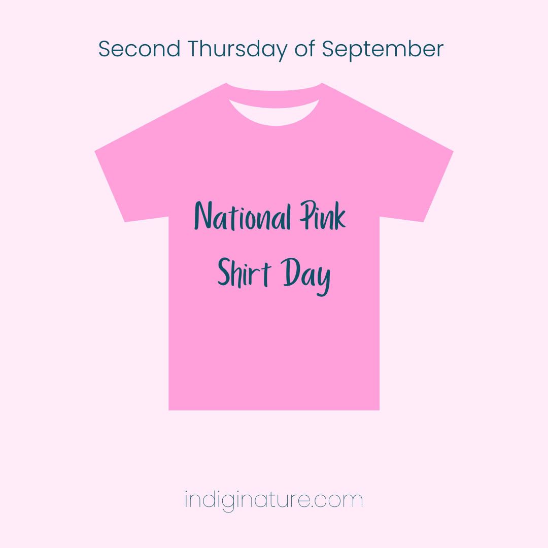 National Pink Shirt Day